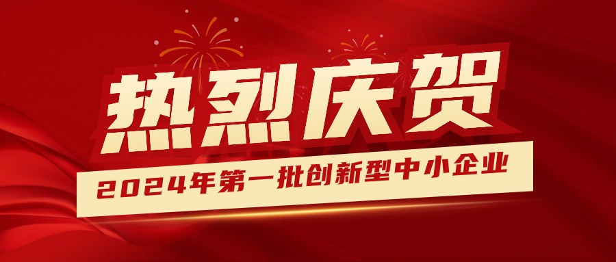 喜報！集團(tuán)獲認(rèn)定為2024年第一批創(chuàng)新型中小企業(yè) 