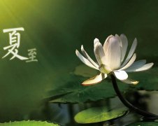 夏至節(jié)氣，廣西強(qiáng)壽藥業(yè)集團(tuán)提醒您注意防暑降溫