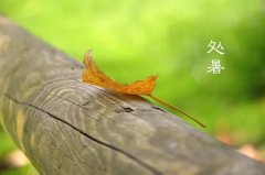 今日12時(shí)9分，迎來處暑節(jié)氣
